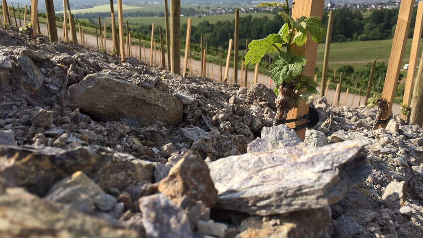 Lage Hendelberg Peter Jakob Kühn