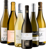 イタリア産スパークリング・ピノ・グリージョ白ワイン - 6倍テイスティング・パッケージ