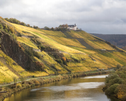 ヴィンテージ クレメンス・ブッシュ ヴィンテージ クレメンス・ブッシュ