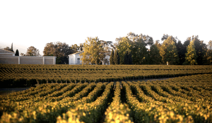 シャトー・ラ・カルドンヌ