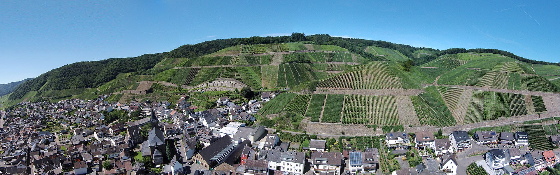 ワイナリー ジャン・シュトッデンの手作業と急斜面の畑