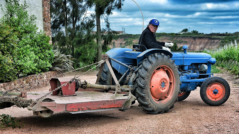 Antigua Bodega Uruguay Arbeit im Weinberg Antigua Bodega Uruguay Arbeit im Weinberg