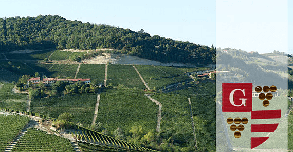 エリオ・グラッソー