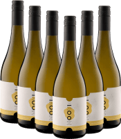 6er Paket - Noovi Fizz Alkoholfreier Sparkler