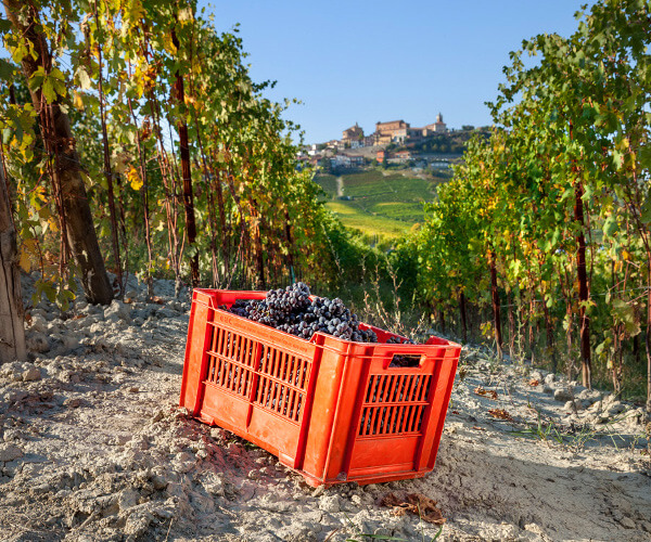 ボリエッティ庭園から見たラ・モーラ
