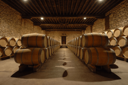 シャトー・ドゥ・ペズのセラー シャトー・ドゥ・ペズのセラー