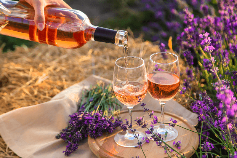 Picknickdecke mit Rosewein
