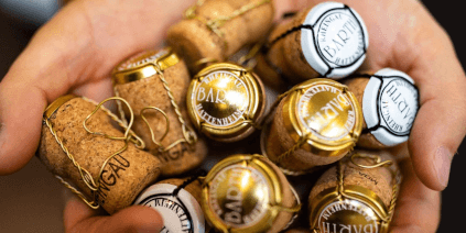 バルト醸造所のラインガウ・ゼクト バルト醸造所のラインガウ・ゼクト