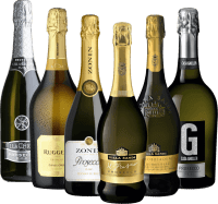 VINELLOs プロセッコ・トップセラー - 6倍テイスティングパッケージ