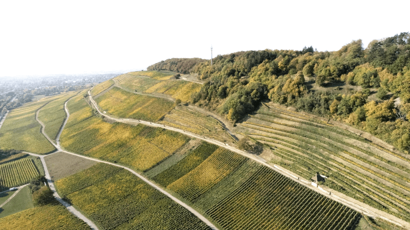 ゾッツ・ローマーブルグ