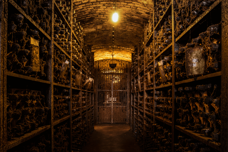 Royal Oporto ワインセラー