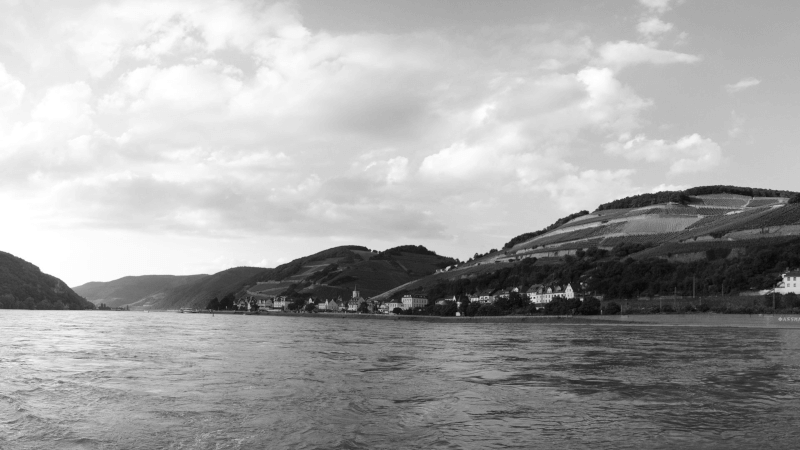 ラインガウのワイナリー・アレンドルフ