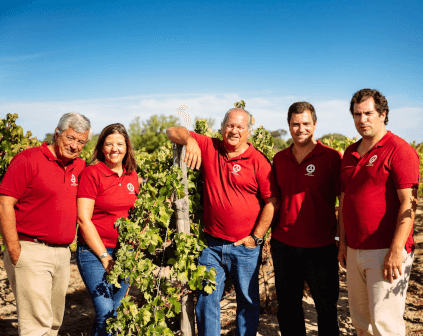 José Maria da Fonsecaチーム