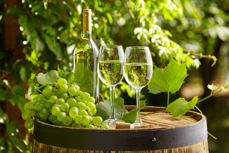 白ワインテイスティング