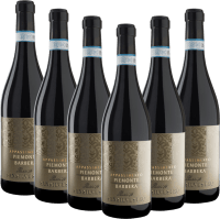 San Silvestro Appassimento Passito Piemonte Barbera DOC - Sartirano 6er Vorteilspaket