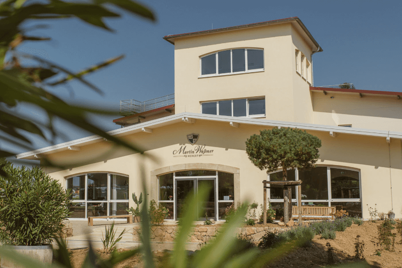 マルティン・ヴァスマー氏のワイナリー マルティン・ヴァスマー氏のワイナリー