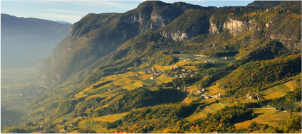 ピーター・ゼマー氏による本格的なワインのための印象的な風景