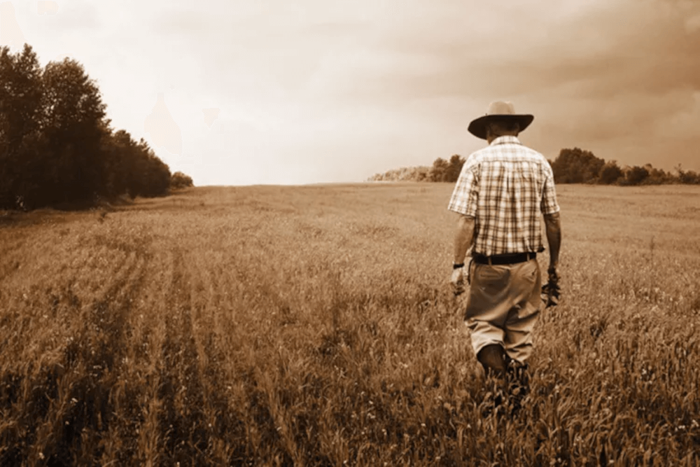 穀物畑の農夫
