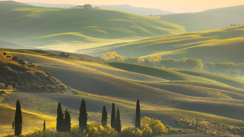 トスカーナの丘陵地帯 - Le Chiantigianeの本拠地