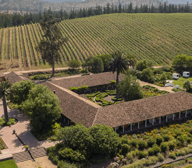 Matetic Vineyards Landschaft