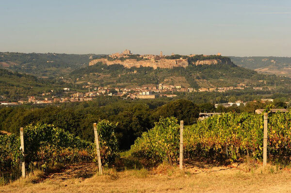 オルヴィエートのパノラマ オルヴィエートのパノラマ
