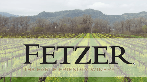 フェッツァー フェッツァー