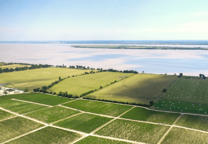 シャトー・レオヴィル・ラス・カーズのブドウ栽培地域