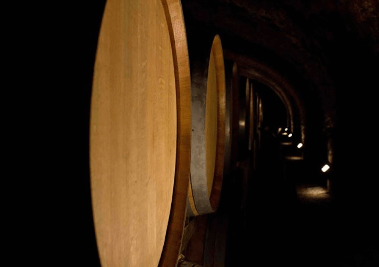 テヌート・ナルディのワインセラーにて