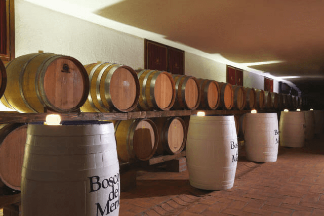 ボスコ・デル・メルロのワインセラーにて ボスコ・デル・メルロのワインセラーにて
