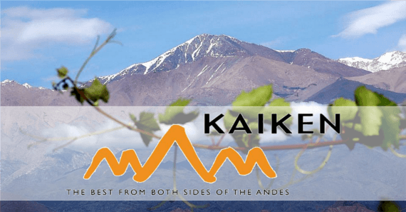 カイケン カイケン