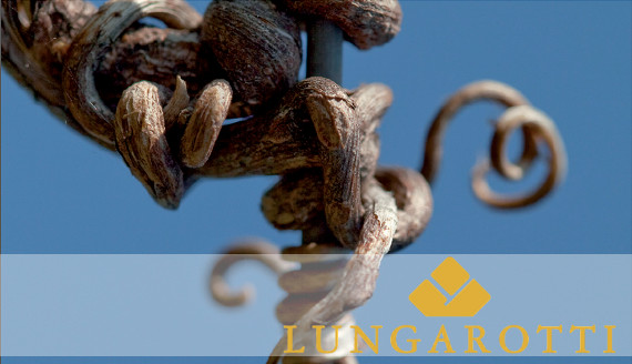 ルンガロッティ