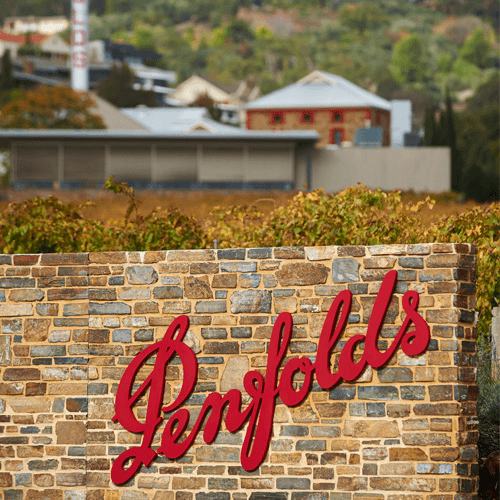 オーストラリアのワインパール、ペンフォールズ・ワイナリー