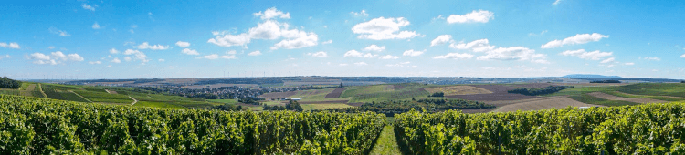 ヴァイングート・ギスラーの本拠地 - アルゼイ・ヴァインハイム