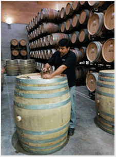 フィンカ・コンスタンシアのワインセラー